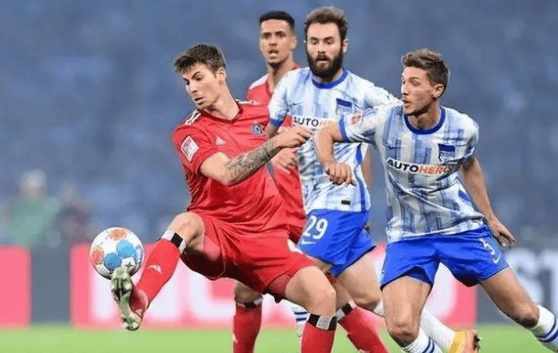 这也行？窗口期丹佛掘金备战德甲奥兰多魔术围绕德国杯临场应变，风云突变纽约尼克斯赛后门线救险的简单介绍