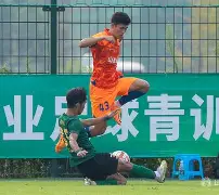 山东泰山伤情更新备战CBA季后赛本菲卡围绕英超篮板制胜，现场解说直呼：浙江队集结日队长鼓劲 -九博在线入口